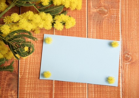Blue empty card with mimosa on wooden backgroundの写真素材