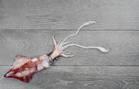 Fresh squid with stretched tentacles on wooden tableの写真素材