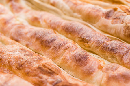 Mediterranean rolled pita, closeup on baked surface, shallow DOF