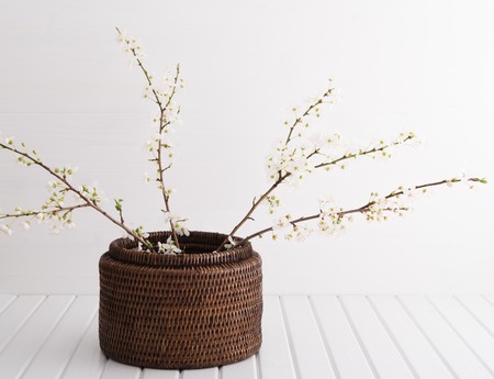 Vase with cherry blossom on wooden backgroundの写真素材