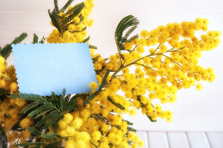 Vase with mimosa flowers and empty card on wooden backgroundの写真素材