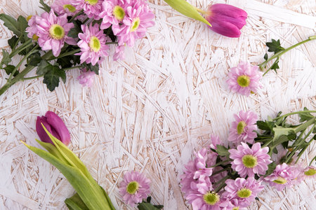 Frame of pink chrysanthemum and tulips on white wooden tableの写真素材
