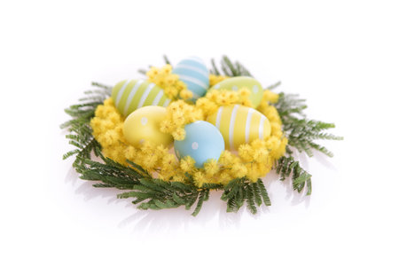Nest from fresh mimosa and easter eggs inside