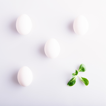 White eggs and green leaf on white backgroundの写真素材