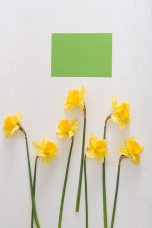 Narcissus on wooden table, bright day, empty spaceの写真素材