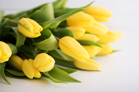 Colorful tulips on white wooden table with copy spaceの写真素材
