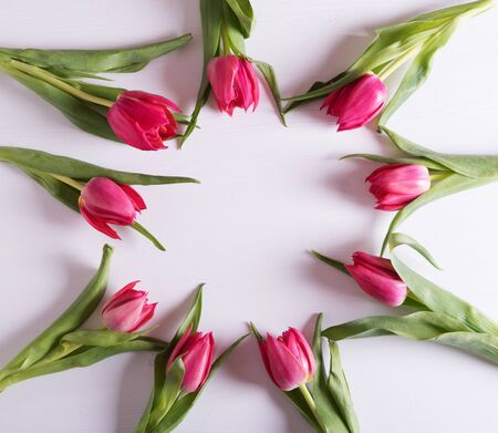 Closeup on beautiful tulips on wooden backgroundの写真素材