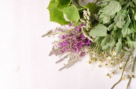 Armful of fresh medicinal plants on the tableの写真素材