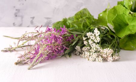 Bundles of fresh medicinal plants on the tableの写真素材