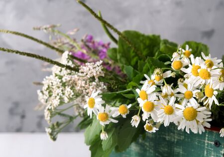 Armful of fresh medicinal plants in a box on the tableの写真素材
