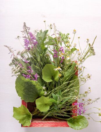 Armful of fresh medicinal plants in a box on the tableの写真素材