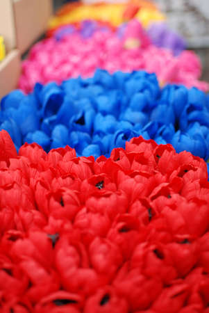 Tulipsの写真素材