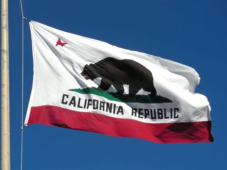 The great bear on the California flag.の写真素材
