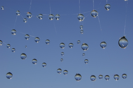 Dew drops on a spider webの写真素材