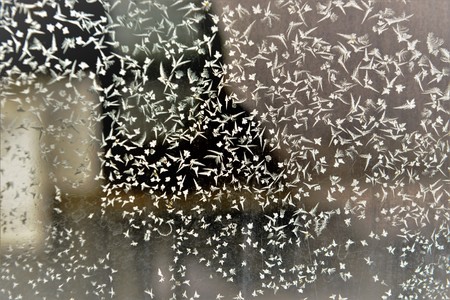Ice crystal on the glassの写真素材