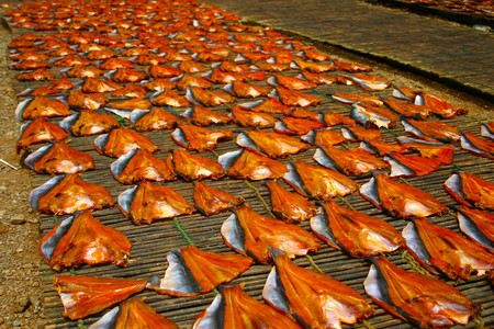 drying fish filets in the sun on bamboo matsの写真素材