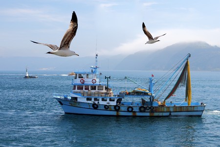fishing boat on the Bosporus,surrounded  by seagulls with a lighthouse in the background , in Turkeyの写真素材