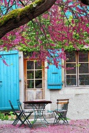 chilly sitting area with table and chairs in an olds house garden under a tree with violet flowers covering the ground around the tableの写真素材