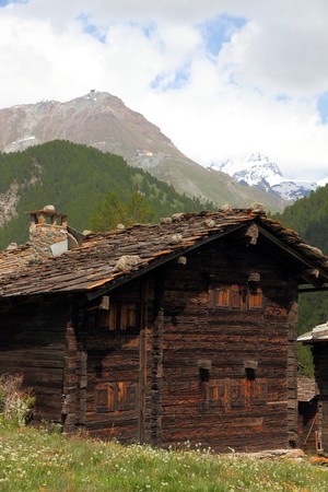 small swiss village settlement of withered wooden houses on a flower meadow in front of forest and hugh  alpine mountains on a sunny summer day in Wallis Switzerlandの写真素材