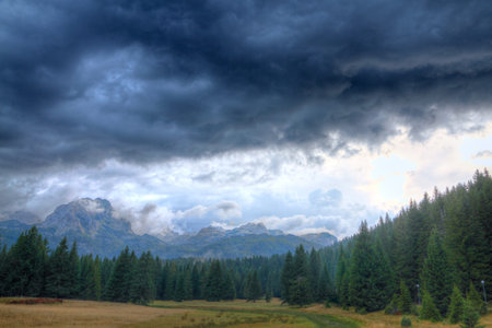 Haunted woods of National Park Durmitor with bad weather and mighty rocky peaks, Montenegro