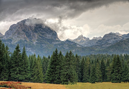Haunted woods of National Park Durmitor with bad weather and mighty rocky peaks, Montenegroの写真素材