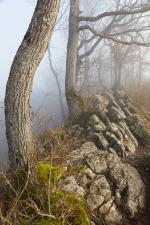 hiking trail along along a rocky ridge surrounded by fog and trees at autumnの写真素材