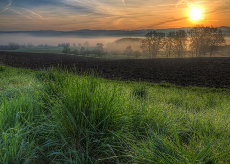 grass glistening with morning dew drops at sunrise at a field with foggy trees and hills in the backgroundの写真素材