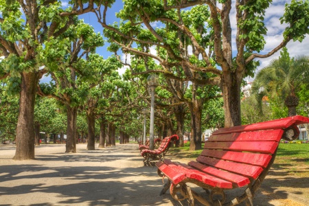 row of red wooden benches in a nice park under shading trees in summer invite to sit down and relaxの写真素材