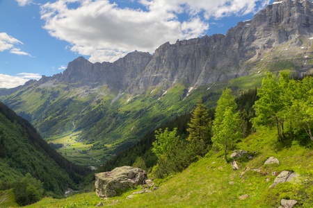 Swiss alpine mountains with woods, meadow, steep walls and valley near Susten pass in summer, Switzerlandの写真素材