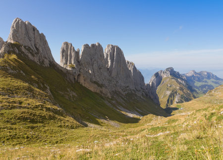meadow and valley with mountains and rocky Karst ridge, Switzerland