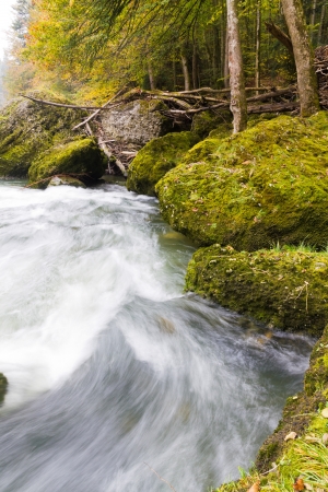 fresh  clean, clear, forest stream splash down over moss covered stones in autumn woodsの写真素材
