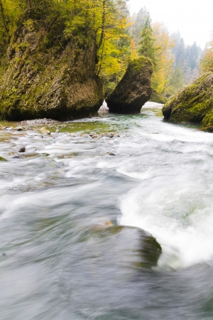fresh. clean, clear, forest stream splash down over moss covered stones in autumn woodsの写真素材