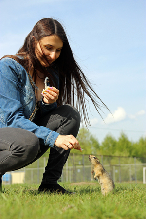 Young attractive woman feeding a hungry gopher bread.の写真素材