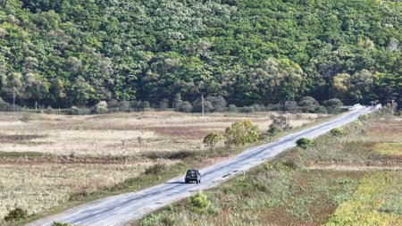 Car Driving Down Road in Front of Forestの写真素材