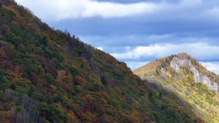 Majestic Mountain View With Treesの写真素材