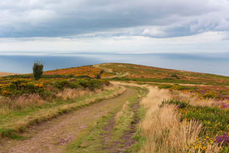 The path over the moor to Hurlstone Point, Somerset