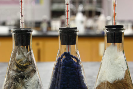 Laboratory experiment: the best insulation between the feathers, fur and wool