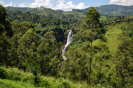 Devon Falls, 518 feet high and one of the most spectacular waterfalls in Sri Lanka's hill country.の写真素材
