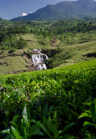 St. Clair's Falls, Thalawakele, Sri Lankaの写真素材