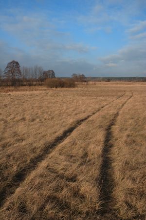 road crossing meadowの写真素材