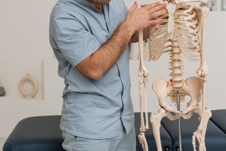 Doctor man pointing on ribs of human skeleton anatomical model. Physiotherapist explaining joints model. Chiropractor or osteopath points to the skeleton of human body. Bones anatomy close upの写真素材
