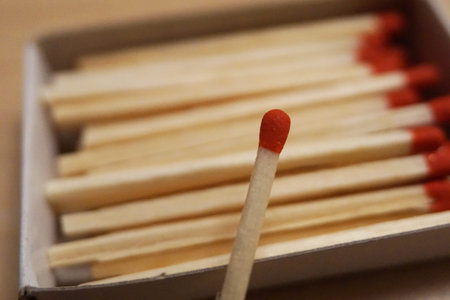 Red match sticks in a box