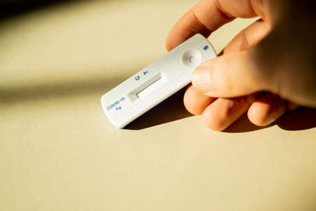 holding a covid-19 test in handの写真素材