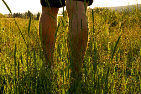 short pants in high grass - tick dangerの写真素材