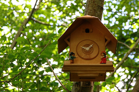 Hiking impressions in the Black Forest in Germanyの写真素材