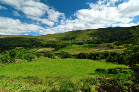 Killarney National Park in Country Kerry, Irelandの写真素材