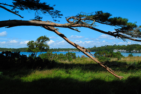 Killarney National Park in Country Kerry, Irelandの写真素材