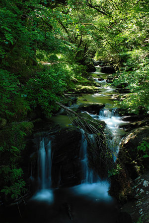 Killarney National Park in Country Kerry, Irelandの写真素材