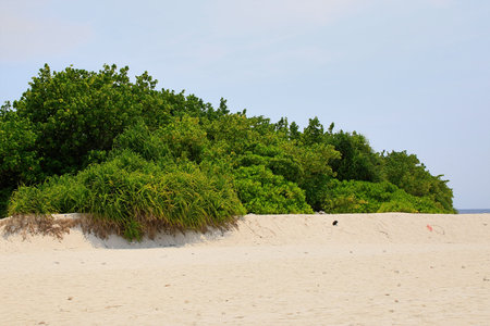 Beautiful beach on Ukulhas at Maldivesの写真素材