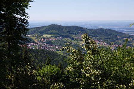 Black Forest hiking trail through the woods of Gertelbach in the Buehlertal, Germanyの写真素材